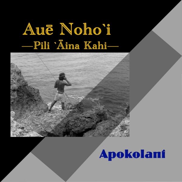 Cover art for Auē Nohoʻi (Pili Aina Kahi)